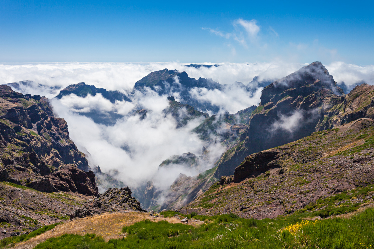 Vanabundos.com Madeira Wanderurlaub Die Ultimative Anleitung zu den besten Routen