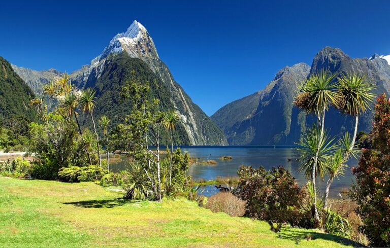Neuseeland Highlights: Top-Sehenswürdigkeiten und Reisetipps